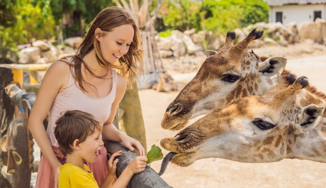 Mother and sons feeding Giraffe